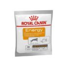 Royal Canin Energy pour chien 50 g