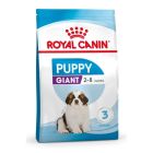 Royal Canin Giant Puppy 15 kg- La Compagnie des Animaux