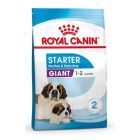 Royal Canin Giant Starter Mother and Babydog - La Compagnie des Animaux
