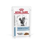 Royal Canin Vet Chat Skin & Coat 12 x 85 g