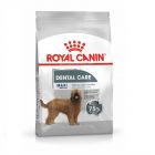 Royal Canin Canine Care Nutrition Maxi Dental Care - La Compagnie des Animaux