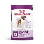 Royal Canin Giant Adult - La Compagnie des Animaux