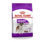 Royal Canin Giant Adult - La Compagnie des Animaux