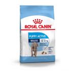 Royal Canin Maxi Junior Active 15 kg- La Compagnie des Animaux