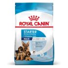 Royal Canin Maxi Starter Mother and Babydog 15 kg- La Compagnie des Animaux