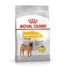 Royal Canin Medium Dermaconfort 10 kg 
