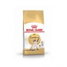 Royal Canin Siamois Adult 10 kg