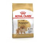 Royal Canin Spitz Nain Adult 3 kg