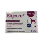 Silycure 160 mg 75 cps