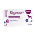 Silycure 160 mg Chien moyen et grand 75 cps