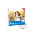 Tractive GPS Dog 4 chien blanc