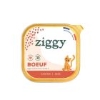 Ziggy Pâtée sans céréales chaton bœuf 16 x 100 g