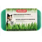 Zolux Herbe depurative naturelle pour chat 250 g - La Compagnie des Animaux