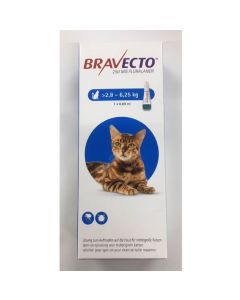 Bravecto Spot-On CHAT 2,8 - 6,2  kg 1 pipette- La Compagnie des Animaux