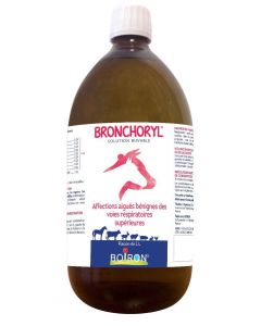 Bronchoryl GA 1 L