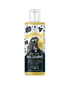 Bugalugs Shampoing Medi Fresh Anti-démangeaisons chien 250 ml