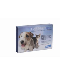 Capstar 11.4 mg pour chat et petit chien