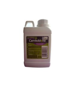 Carnitobione 500 ml - La compagnie des animaux