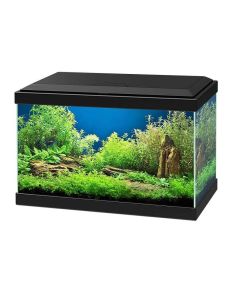 Ciano Aquarium 20 LED noir - Destockage