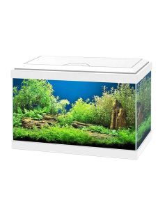 Ciano Aquarium 20 LED blanc - Destockage