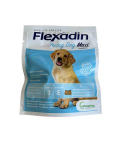 Échantillon Flexadin Young Dog Maxi 3 bouchées