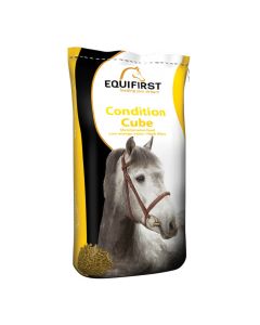 Equifirst Condition Cube cheval 20 kg