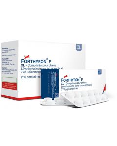 FORTHYRON F XL 50 cps
