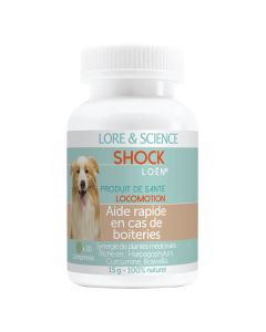 Lore & Science Chien Dog Shock 30 cps