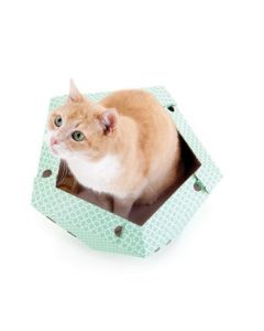 Cat in the Box OLIVER 45 x 43 x 25 cm