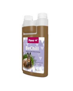 Pavo BeChill cheval 1 L