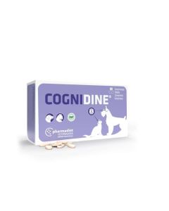 Pharmadiet Cognidine 60 cps