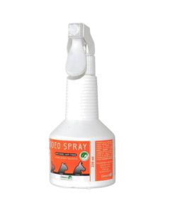 Rhodeo Spray 250 ML