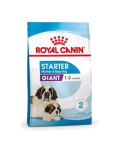 Royal Canin Giant Starter Mother and Babydog - La Compagnie des Animaux