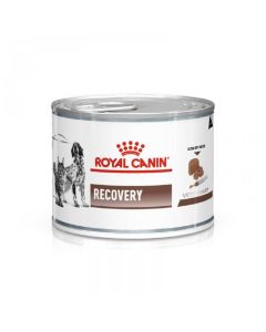 Royal Canin Veterinary Diet Recovery 195 grs