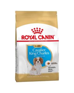 Royal Canin Cavalier King Charles Junior - La Compagnie des Animaux