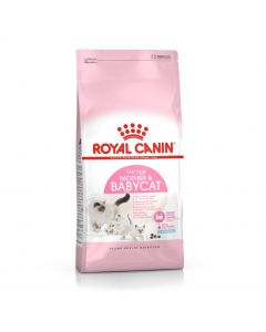 Royal Canin Féline Health Nutrition Mother & Babycat - La Compagnie des Animaux