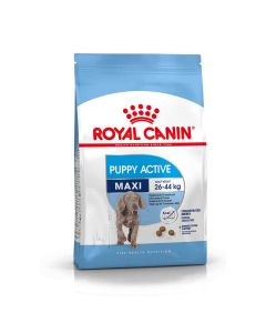 Royal Canin Maxi Junior Active 15 kg- La Compagnie des Animaux