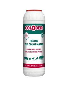 Saniterpen Coloder Résine de Colophane 600 g