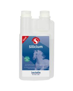 Sectolin Silicium cheval 1 L