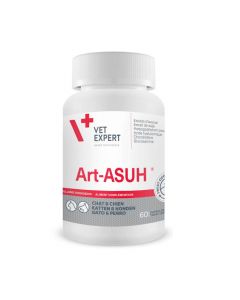 VetExpert Art-ASUH S 60 capsules
