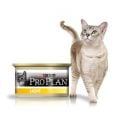 Purina Proplan Cat Light Dinde 18 boites de 85 grs + 6 offertes 