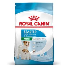 Royal Canin Mini Starter Mother and Babydog - La Compagnie des Animaux