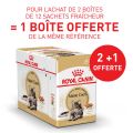 Offre Royal Canin Maine Coon Adult 24 sachets + 12 offerts
