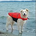 Trixie Gilet de Flottaison pour chien rouge M