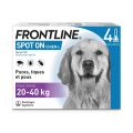 Frontline Spot on chien de 20-40 kg 4 pipettes