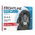 Frontline Spot on chien de 40-60 kg 4 pipettes