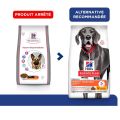 Hill's Science Plan VetEssentials Canine Healthy Digestive Biome Large 16 kg