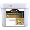 Horse Master Harpagophytum souplesse articulaire cheval 1 kg