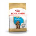 Royal Canin Cocker Puppy 3 kg