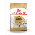 Royal Canin Labrador Adult 12 kg + 2 kg offerts